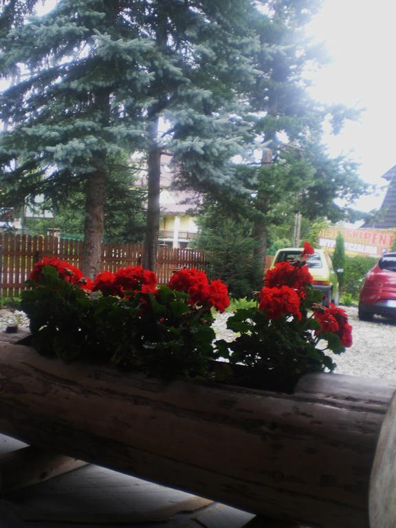 Pokoje Goscinne U Jaska Zab Esterno foto